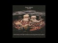 Limp Bizkit Chocolate Starfish And The Hot Dog Flavored Water 2000 CD RIP
