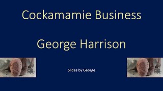 George Harrison   Cockamamie Business karaoke