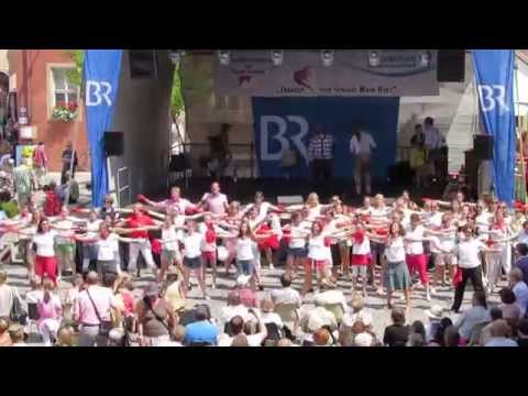 Flashmob Tag der Franken Ochsenfurt am 6.7.2014