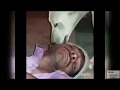 Illo Illo Soro Piyelo Konkani Song Melwyn Paris