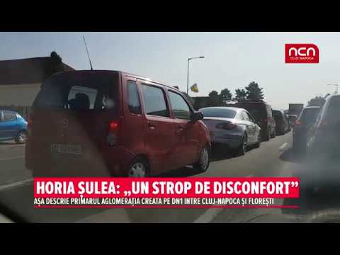 Horia Sulea: „Un strop de disconfort”