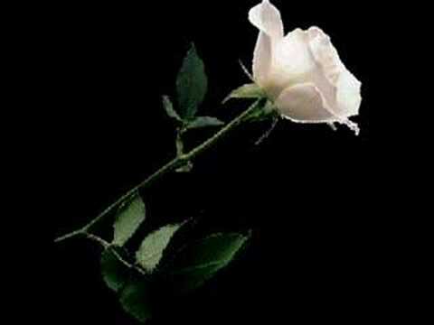 ESTRELLA DE LA MAÑANA