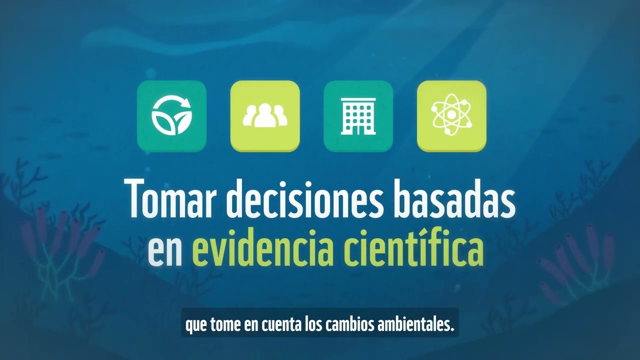 ¿Qué es el Manejo Basado en Ecosistemas (MbE)? Guía rápida para la gestión marina