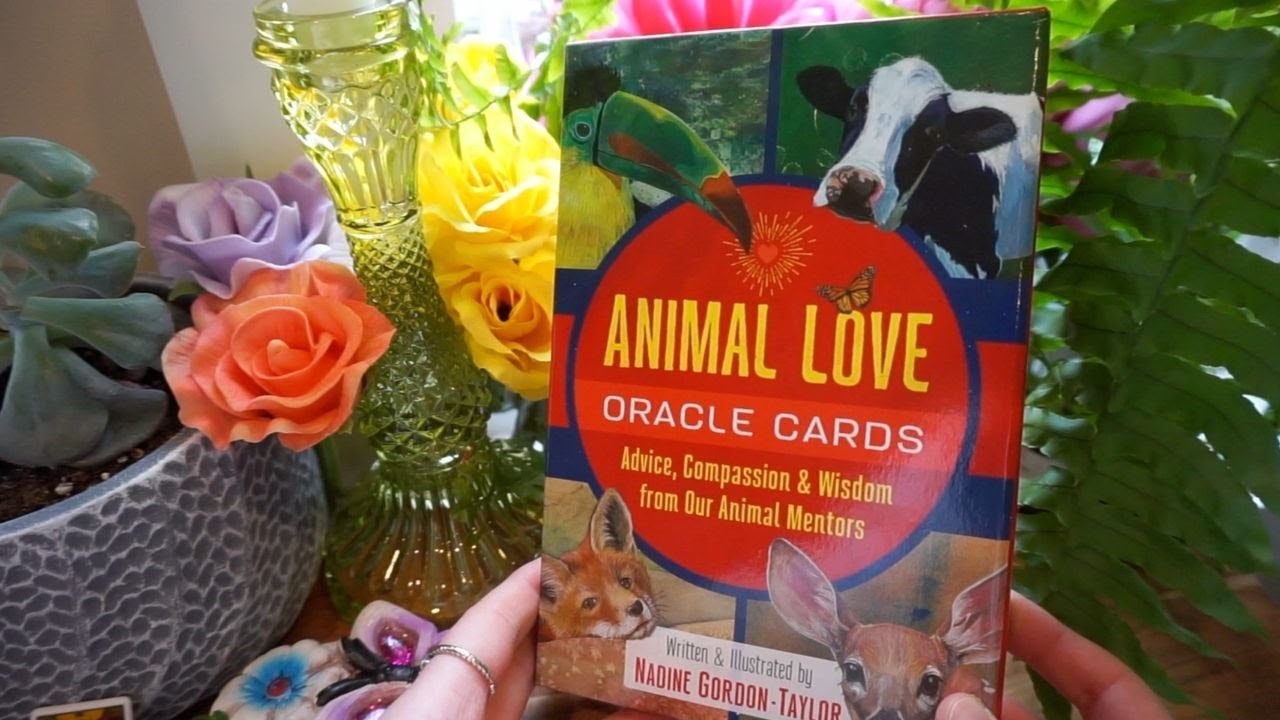 Animal Love Oracle Unboxing 🐳🐮🐝 Chatty & Calming