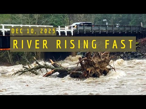 Chilliwack River Is Rising Fast From Relentless Rain | Dec 10, 2025
