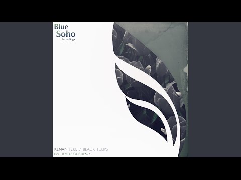 Black Tulips (Original Mix)