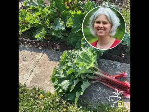 Growing perennial vegetables