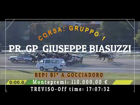 GRAN PREMIO GIUSEPPE BIASUZZI - VINCE BEPI BI con A. GOCCIADORO - TREVISO 17 10 202, Img.BetFlag