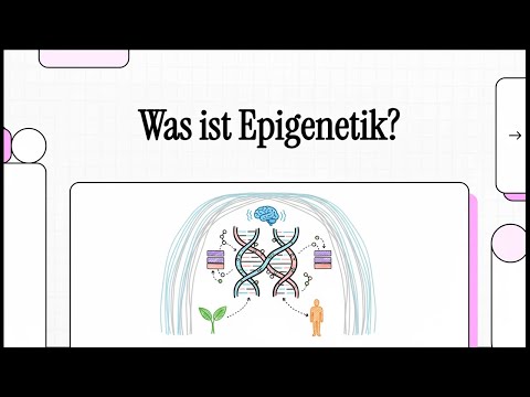 Was ist Epigenetik? | EINFACH ERKLÄRT