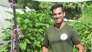 Farm2market Crowdfunding - Register your interest