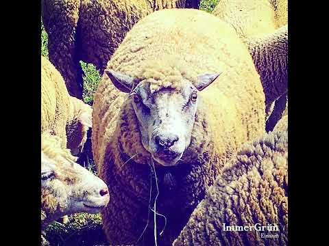 ImmerGrün 2022 "Einsam"