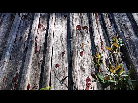 ÖDEHUSET nära DANSBANAN - 210517 - Blekinge - Huawei p30 PRO (Abandoned house in Sweden)