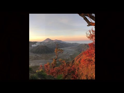 (w/ beat switch) jpegmafia x flume type beat - "mudder tubbers"