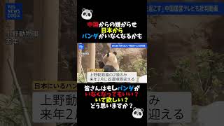 中国からの嫌がらせ 日本からパンダがいなくなるかも #shorts #政治 #高市早苗 #自民党 #パンダ #中国