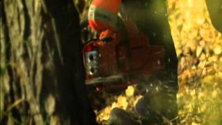 VIDEO INSTITUCIONAL 2