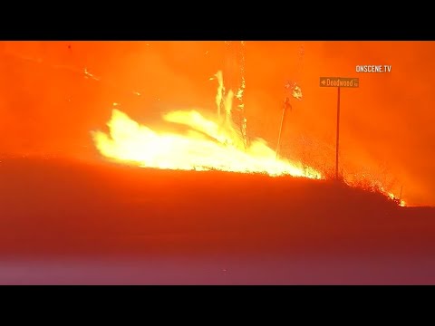 Digital Brief: November 12, 2018