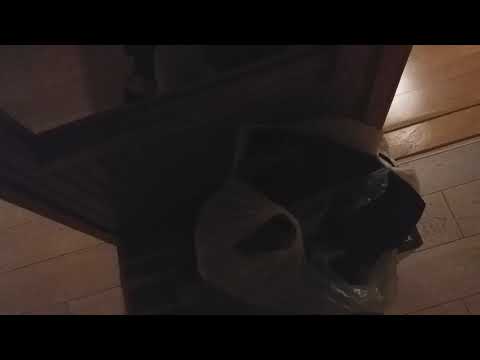fordított papilloma aooi