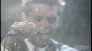 Alguien Como Tu, Luis Miguel, El concierto