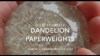 How to Make a Dandelion Paperweight