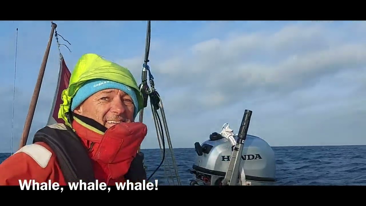 Azores to Plymouth | 14 days of beating into NE winds | 2000 nm | Saga47swan Sailing ⛵️