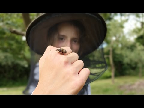 Június a walipiniben - PÁRTOLÓI tagság a tanyaközösségben