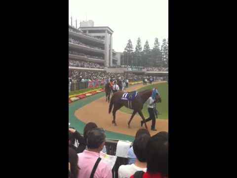 2011安田記念(G1)パドック