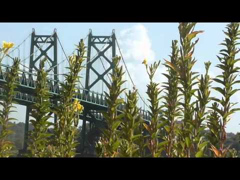 download lagu mp3 mp4 Bettendorf To Davenport, download lagu Bettendorf To Davenport gratis, unduh video klip Bettendorf To Davenport