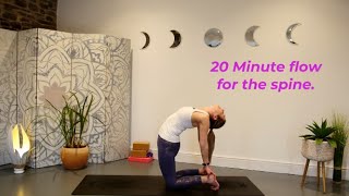 20 minute flow for the spine