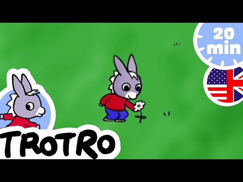 20 minutes from Trotro - Trotro cooks food