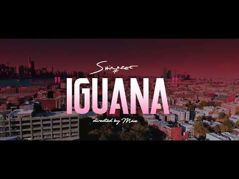 Shirazee - Iguana (OFFICIAL VIDEO)
