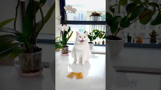 МЫ ПОПАЛИ В ИГРУ КАЛЬМАРОВ😳