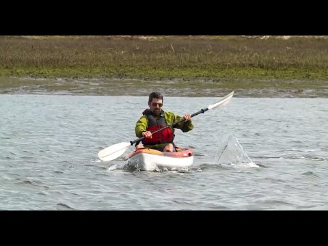 Basic Kayaking Strokes