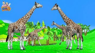 เพลงยีราฟคอยาว -   เพลงเด็กพี่นุ่น น้องภูมิ By KidsMeSong