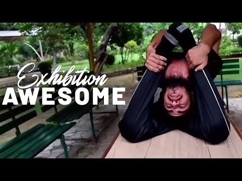 Suburbia Stunts: Contortion, Juggling, Hula Hooping & More | Exhibition Awesome