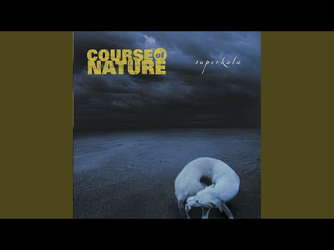 Could I've Been - Course of Nature