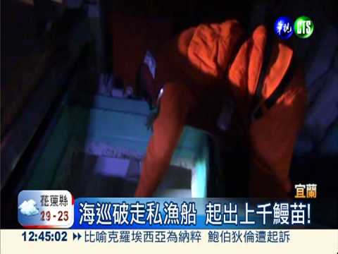 破走私集團 起出鰻苗.龜.鸚鵡