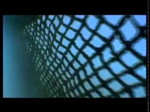 Revolution am Riff Ch.5