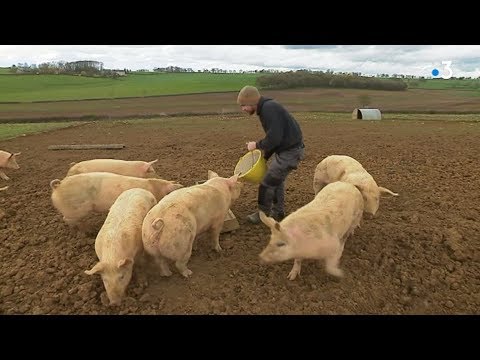 Feuilleton : La Nièvre expérimente le dispositif territoire zéro chômeur de longue durée (4/4)