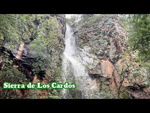 "SIERRA DE LOS CARDOS" JEREZ ZACATECAS 25 DE AGOSTO 2025