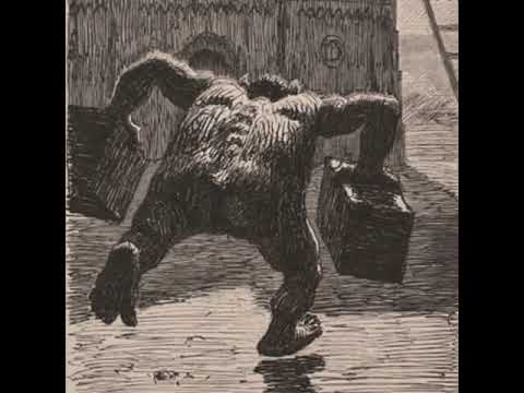 Quelly Woo - OUTCAST