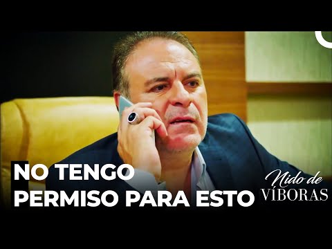 ¿Cómo Puedes Hacerlo? - Nido De Víboras