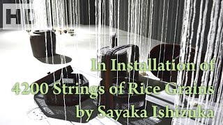 preview picture of video '283. In Installation of 4200 Strings of Rice Grains by Sayaka Ishizuka'