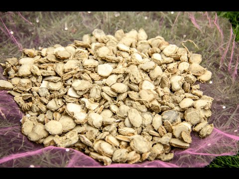 Kapoor Kachli Powder