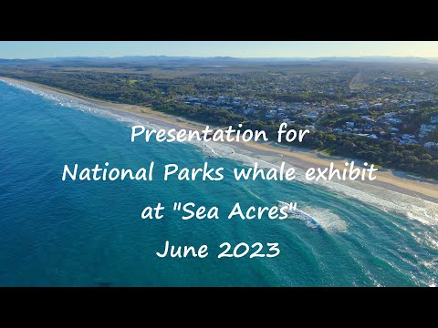 National Parks "Sea Acres" Whale compilation video - Extended edition - 1st August 2023