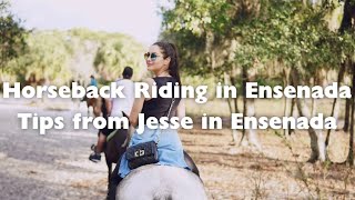 Ensenada Horseback Riding Tour Comparison (2026) | Best Ride Options for Cruise Passengers by Local