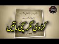 Heart Touching And Amazing Urdu Quotes Collection Aqwal E Zareen