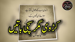 Heart Touching and Amazing Urdu Quotes Collection 
