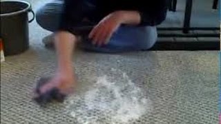 How to Get Vomit Out of Carpet