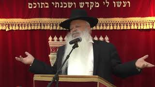 האור החיים הקדוש | הרב דניאל זר