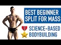BEST BEGINNER SPLITS FOR MUSCLE GROWTH - NOT PUSH PULL LEGS (Natural Bodybuilding Split)